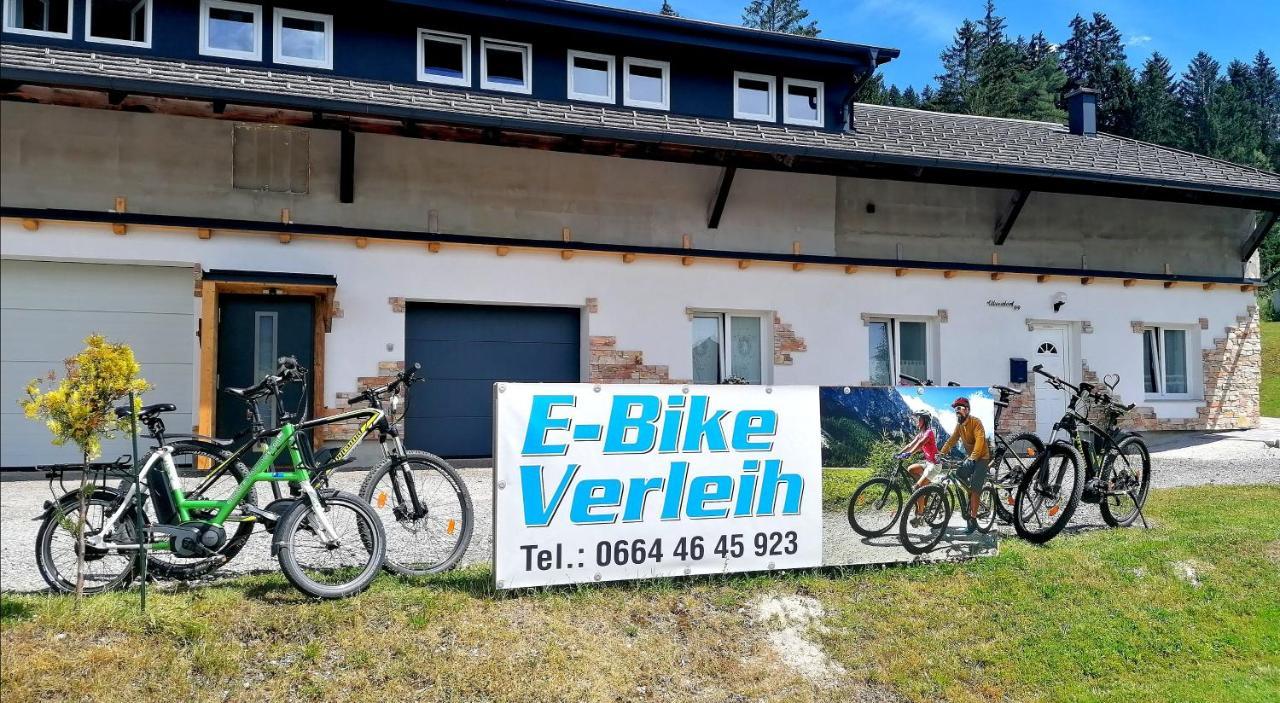 Greenheart Aussee Obersdorf Eksteriør billede